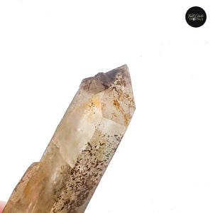 Hematite Lemurian Seed Point with Chlorite
