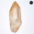 Golden Lemurian Point - Divine Connection &  Will Power AS