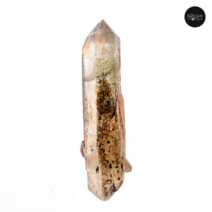 Hematite Lemurian Seed Point with Chlorite